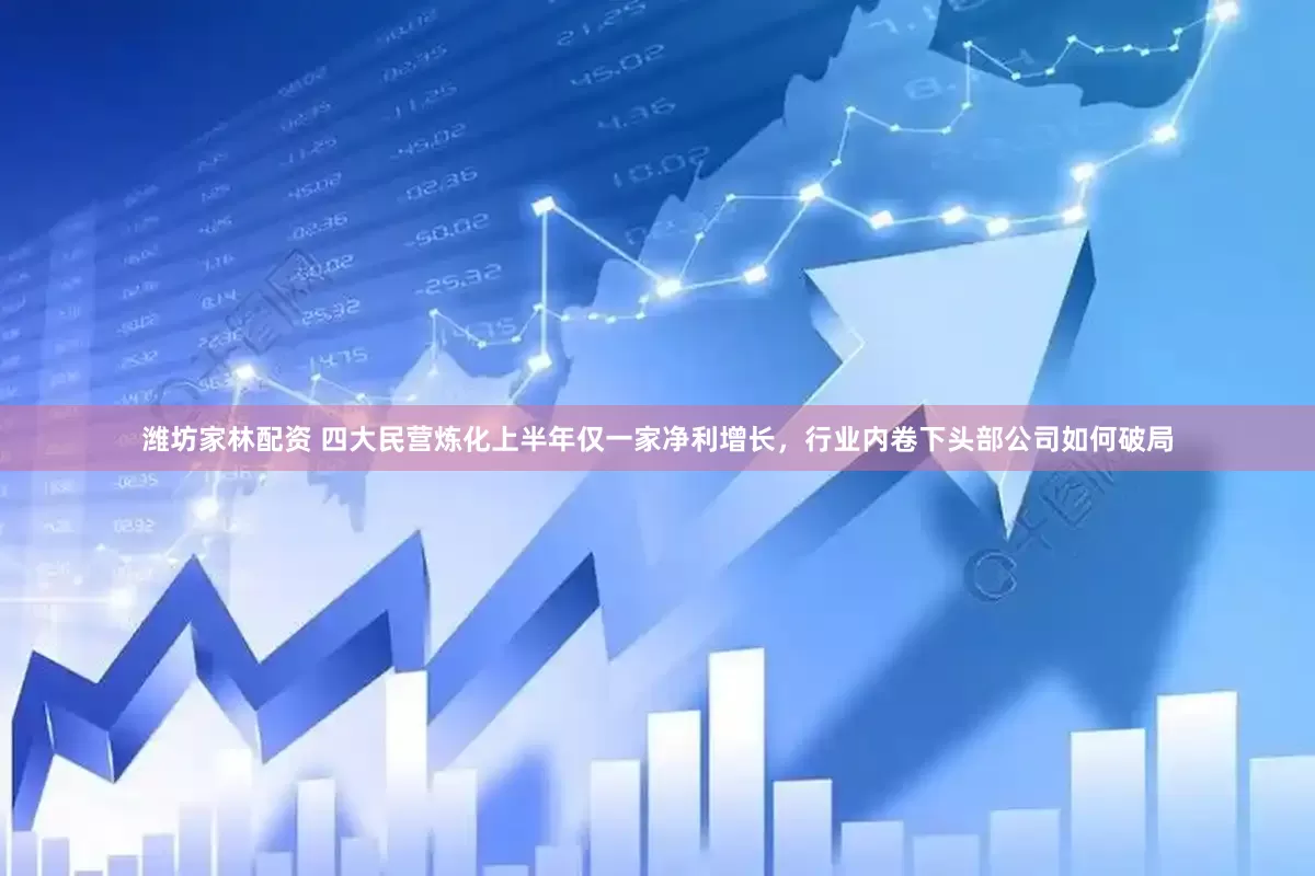 潍坊家林配资 四大民营炼化上半年仅一家净利增长，行业内卷下头部公司如何破局
