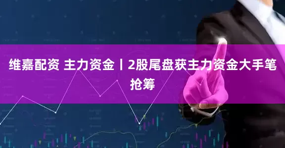 维嘉配资 主力资金丨2股尾盘获主力资金大手笔抢筹
