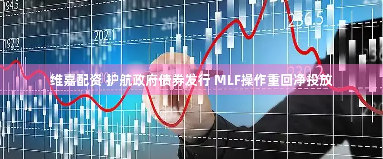 维嘉配资 护航政府债券发行 MLF操作重回净投放